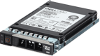 Dell 7.68TB Enterprise NVMe Gen4 RI TLC 2.5 SSD PM1733a CPO