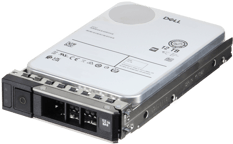 Dell 12TB 7.2K 12Gbps NL SAS 3.5 HDD