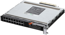 WW060 PowerEdge M1000e 1Gb 16P Eth Pass-Thru Mod