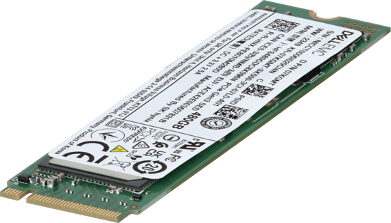 Image of Dell 480GB NVMe Gen3 RI TLC SED 2280 M.2 SSD PE8010