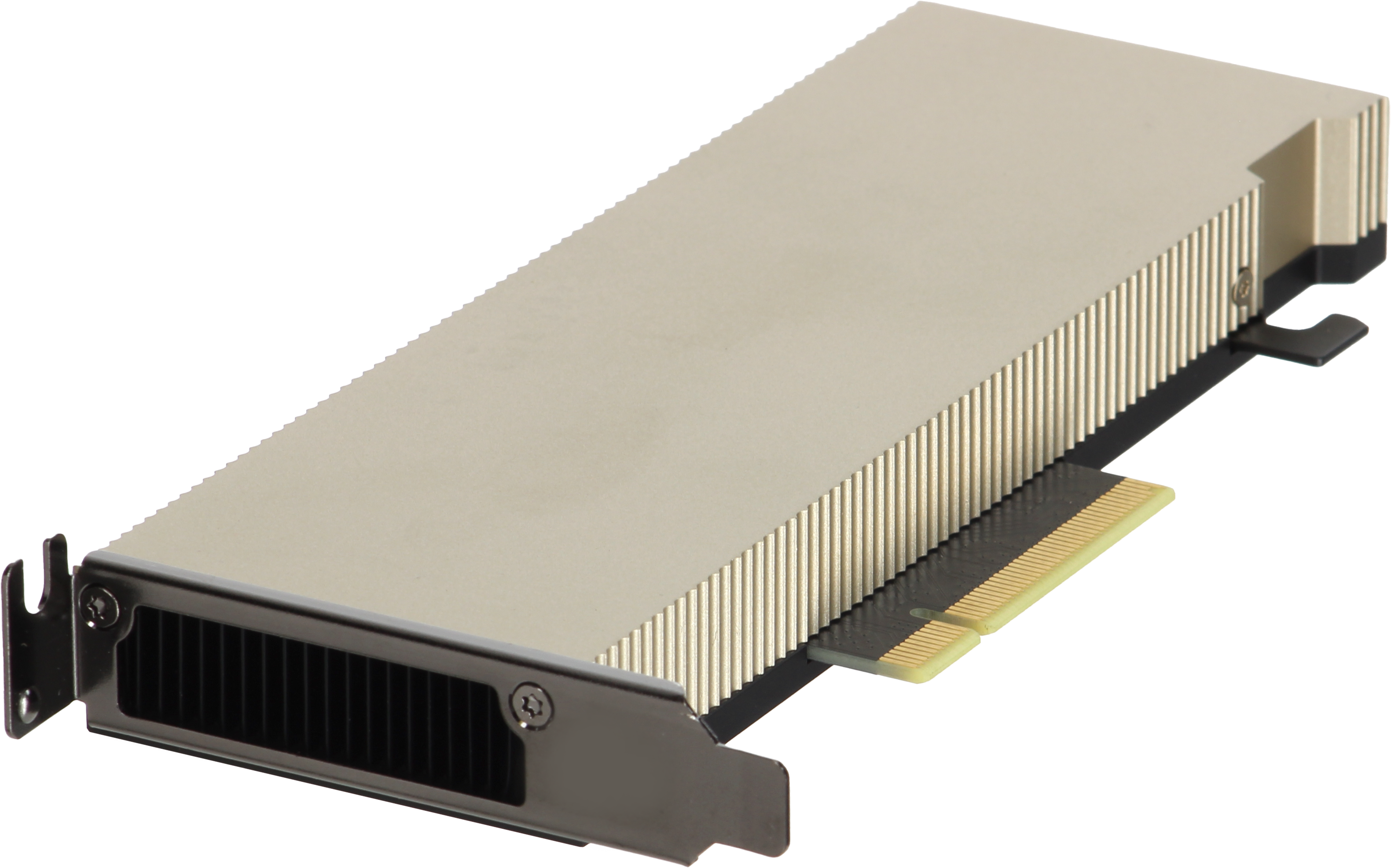Dell NVIDIA A2 Tensor Core 16GB GDDR6 60W PCIe x8 HHHL GPU - xByte